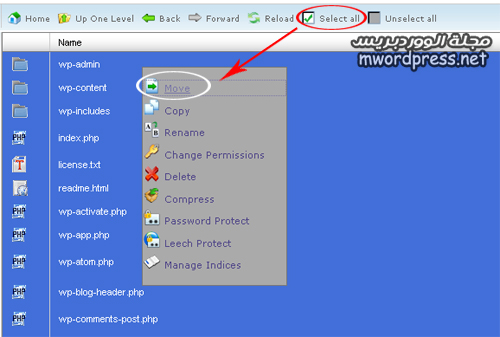 move wordpress files - مجلة ووردبريس