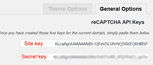 Better WordPress reCAPTCHA api key