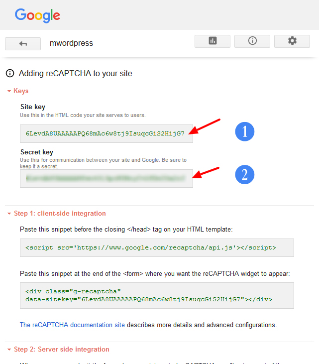 google reCAPTCHA API Keys