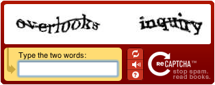 recaptcha example - مجلة ووردبريس