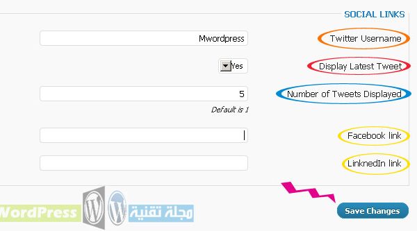 alltutos option page social - مجلة ووردبريس
