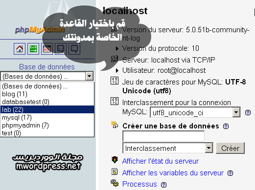 phpmyadmin select database - مجلة ووردبريس