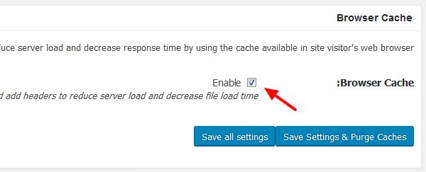 w3 total cache browser cache - مجلة ووردبريس