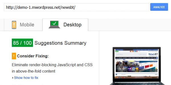 PageSpeed-Insights-newsbt-demo1