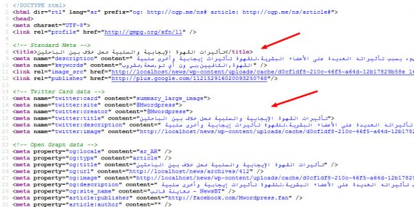 newsbt seo meta - مجلة ووردبريس